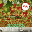 (주)비에스파트너