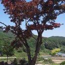 한솔펜션2 이미지