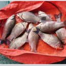 삼인낚시터 이미지