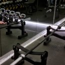 헤이스짐 이미지