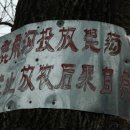 선녀와 나뭇꾼 이미지