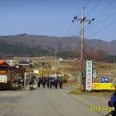 시나브로목장 이미지