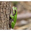 가덕초등학교 이미지