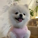 월월월 앳더 모먼츠 네이버블로그