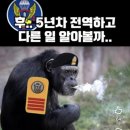 바이썬카페