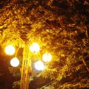 혜성가든 이미지