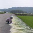 화문석마을 이미지