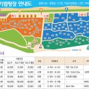 솔향기캠핑장 이미지