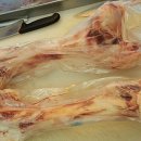 양지-3256 이미지