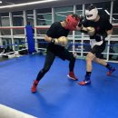 유타복싱클럽 이미지