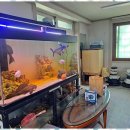 연세노인복지센터 이미지