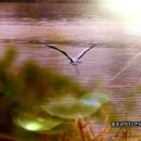 아름답다 Daum카페