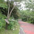 보은산V랜드 이미지