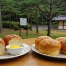 산본로324번길 | [카페 핫플] 경기도 군포시 카페 핫플 투어 가이드(2025년)