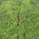 오고생이 이미지