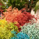 먹고가게 이미지