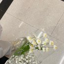 허브인러브플라워