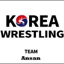 레슬링코리아 안산본관 팀안산 이미지