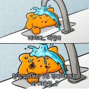 (주)엠지미디어 | [12월 2주차] 콧물과 콜록으로 지친 일주일