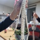 (원데이) 그린 플랜트 이미지