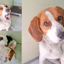 동해대로 이미지