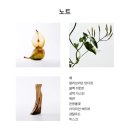 향수 - 서산시 | 여름향수추천 | LOEWE 로에베 아이레 수틸레사 향수후기