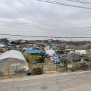 왕림2리 네이버블로그