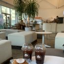 선영목장 | 천안역 카페 크림당 본점 크림빵 내돈내산 후기