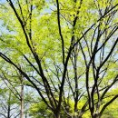 쭈꾸미불루스 - 예산군 아리랑로11번길 18 | 쭈꾸미불루스