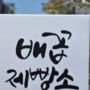 기대만족 양구점 | 양구 카페 추천 배꼽제빵소, 레포츠공원 근처 대형카페 솔직후기