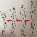바벨솔루션