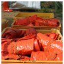 학운초등학교 이미지