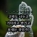 겉과속 이미지