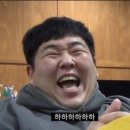 대형애견 이미지