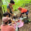 설악산 흘림골_주전골_1(2024. 08. 25) 이미지