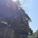 제주 서귀포 쇠소깍 | 제주 서귀포 쇠소깍 카약 체험 후기