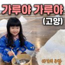 하얀나라어린이집 | 경기 | 고양 아람누리 실내놀이터 ‘가루야가루야’ 체험후기｜비 오는 날 5세 오감놀이 추천