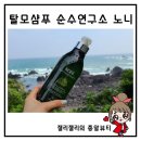 순수연구소 노니 샴푸 알짜왕 오한진 추천 탈모케어