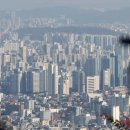 세종숨 머니투데이