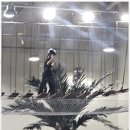 즐거운 태권도 아카데미 이미지