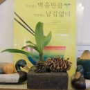 탑골농장 2농장 이미지