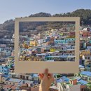 호서세무법인 이미지
