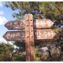 구장주유소 Daum카페