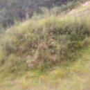 봉화주유소 이미지