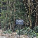 오후의 여유타임 홍차 | 제주 책방 티하우스 찻집 서귀포 에가톳 라이브러리 솔직 후기