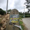 내린천솔밭힐링캠핑장 이미지