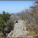 백동무궁화동산 이미지