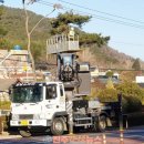 죽림3로가로수 이미지