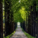 라르고 민박 이미지