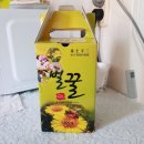 김혜호 이미지